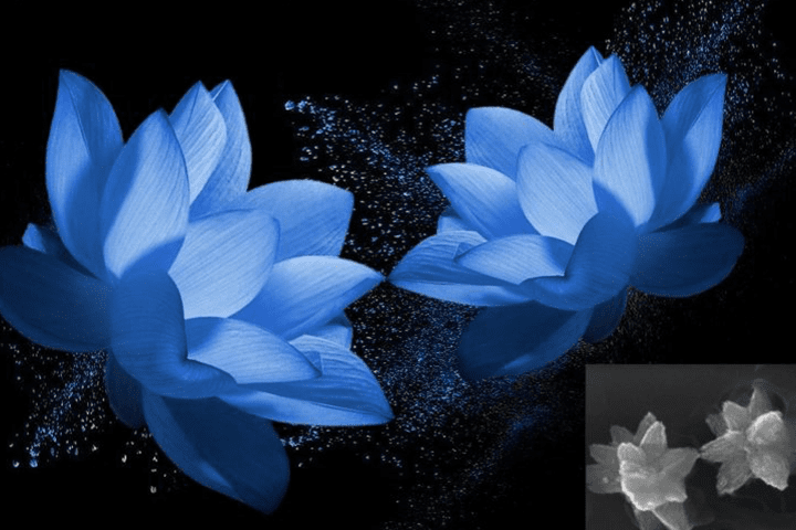 nanoart