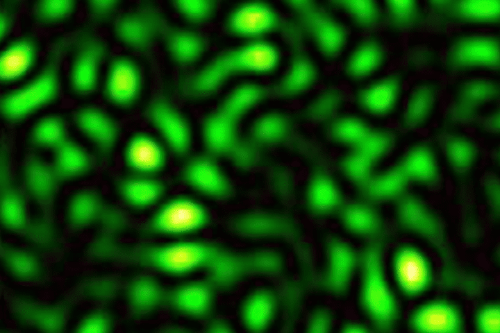 435435-4354351q43534