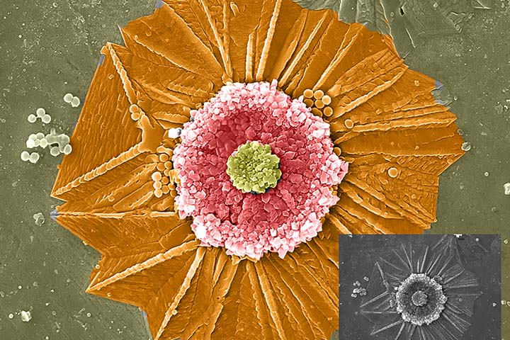 NANOART__