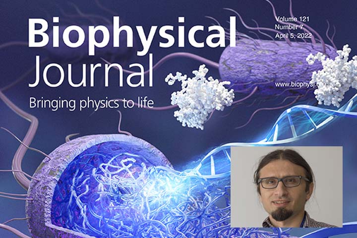 biophysical journal