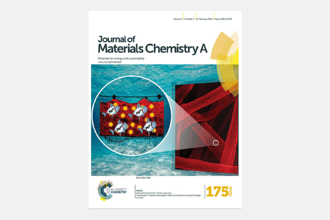 “Nanotraps”-for-effective-removal-of-lead(II)-in-water