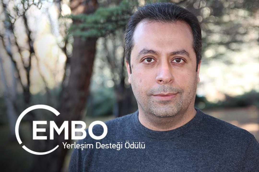 embo amir