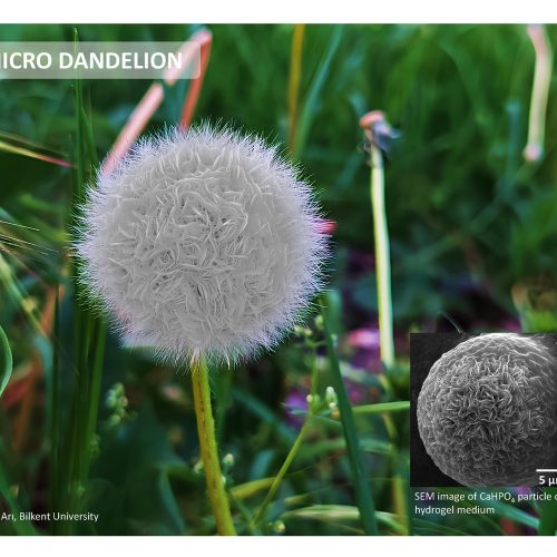 nanoart_Sayfa_012