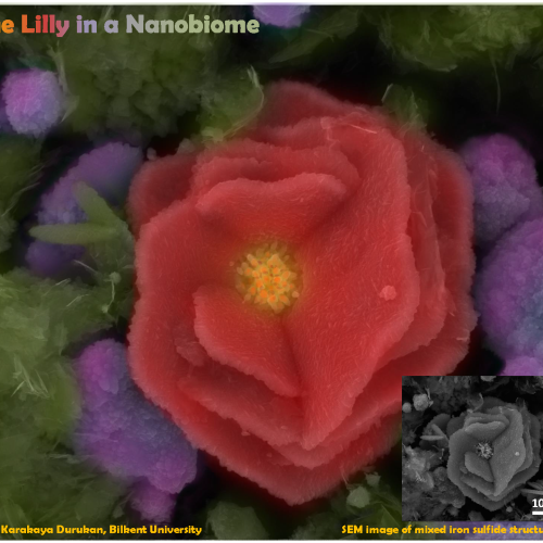 nanoart_Sayfa_08