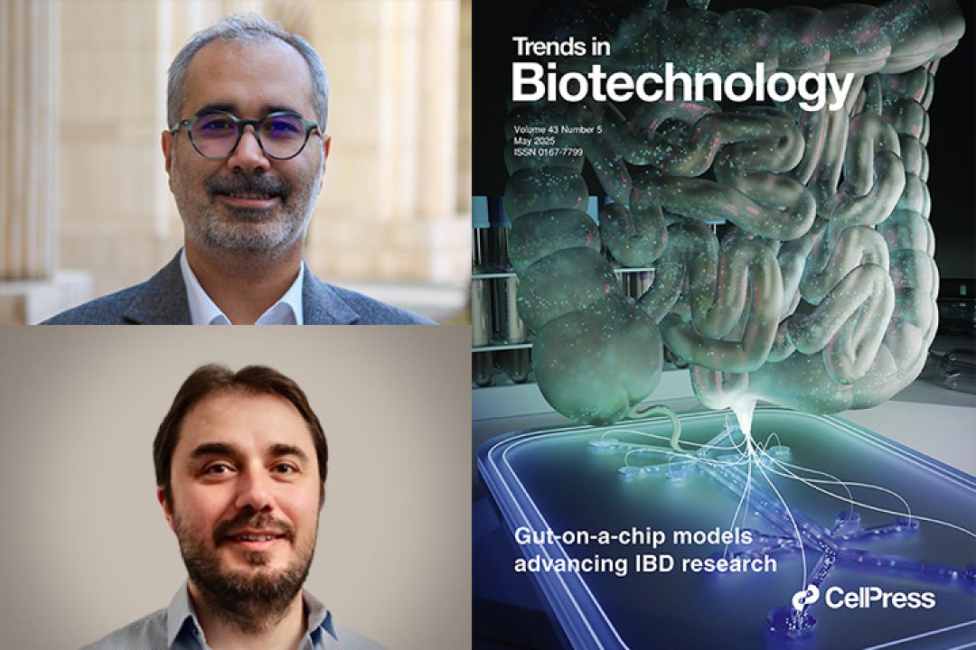 trends-bio-fatih-inci
