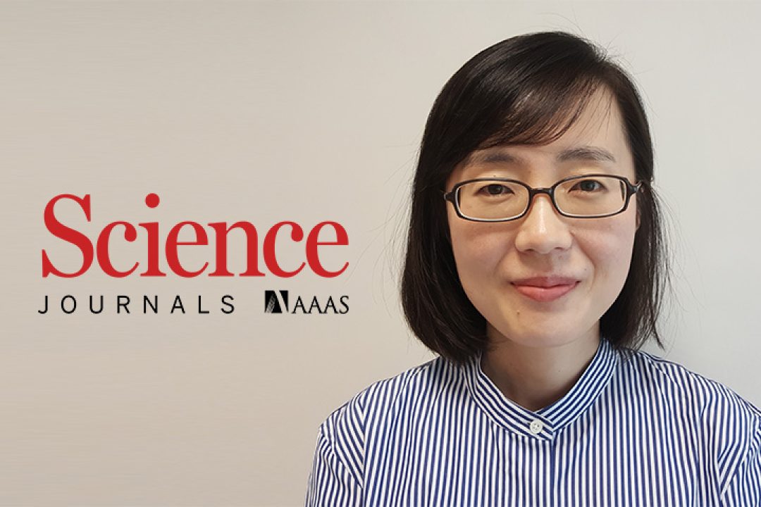 wonmi ahn