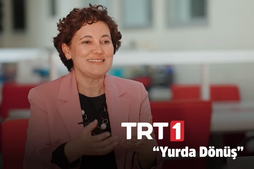 yurda dönüş web
